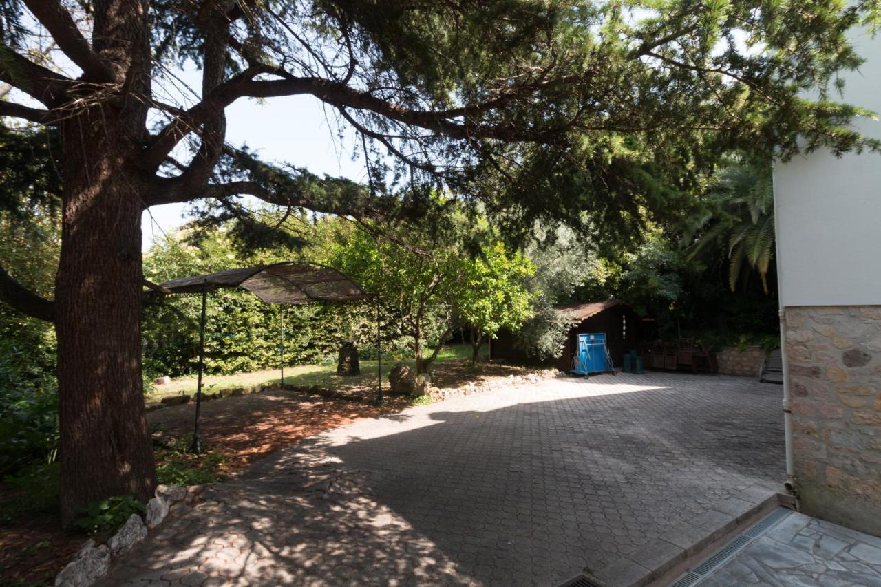 Villa Tsavorite - Cannes Californie Kültér fotó